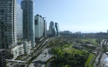 Stock Video Park Near Tall Buildings