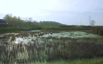 Stock Video Passenger Train In The Countryside