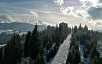 Stock Video Path Among The Pines Of A Mountain In Winter