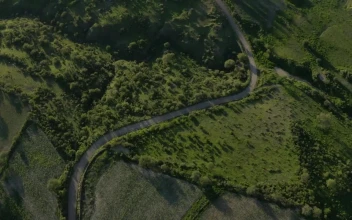 Stock Video Path Surrounded By Natural Relief Covered With Vegetation