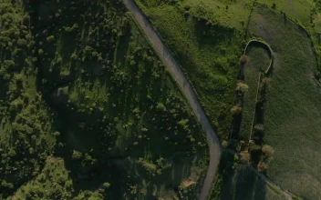 Stock Video Path That Crosses A Meadow Aerial Shot