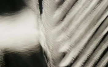 Stock Video Pattern Shapes In A Fluid Motion