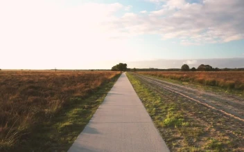 Stock Video Pedestrian Path In A Forest