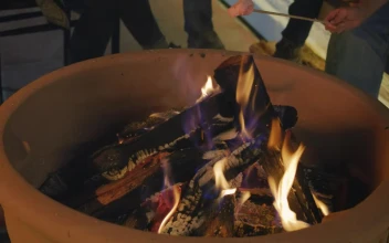 Stock Video People Burning Marshmallows Over A Campfire