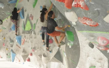 Stock Video People Climbing On A Mountaineering Wall