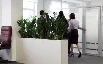 Stock Video People Entering A Seminar