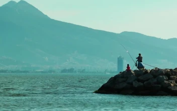 Stock Video People Fishing At The Seashore