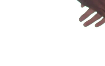 Stock Video People Hands Giving A Handshake On A White Background