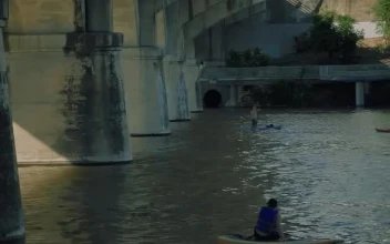 Stock Video People Rowing In A River In The City