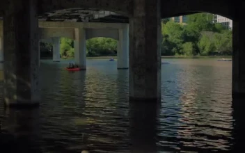 Stock Video People Rowing In A River Under A Large Bridge