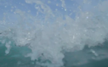 Stock Video People Surfing