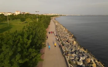 Stock Video People Walking In A Park Next To The Seashore