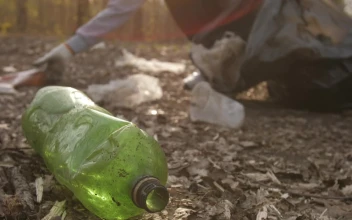 Stock Video Person Cleaning Garbage In Nature