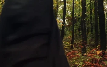Stock Video Person Crossing A Forest Full Of Vegetation