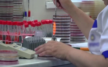 Stock Video Person Heating Samples In A Laboratory