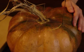 Stock Video Person Making A Hole In A Pumpkin For Halloween