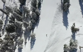 Video Stock Person Practicing Snowboarding Free
