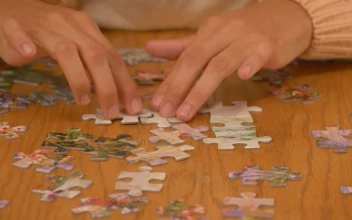 Video Stock Person Putting Together A Big Puzzle Free