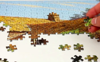 Video Stock Person Putting Together A Puzzle Free