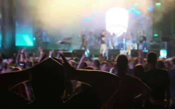 Video Stock Person Raising Hands At A Concert Free