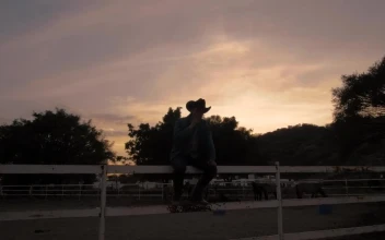 Video Stock Person Sitting On A Fence Silhouetted In Front Of The Free