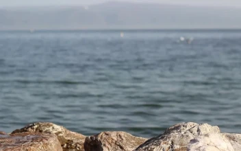 Video Stock Person Standing On A Rock By The Seashore Free