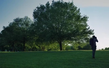 Video Stock Person Taking Photos Outdoors In A Meadow Free