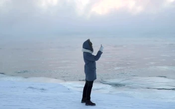 Video Stock Person Taking Pictures With His Cellphone On Ice Free