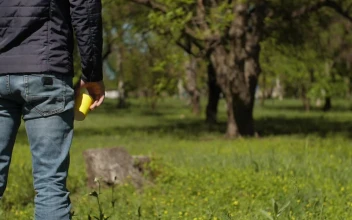 Video Stock Person Throwing Garbage In Nature Free