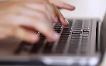 Video Stock Person Typing On A Computer In Detail Free