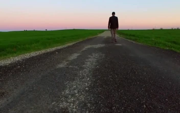 Video Stock Person Walking Down A Path Between Large Fields  Large Free