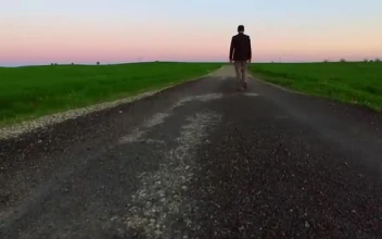Video Stock Person Walking Down A Path Between Large Fields Free