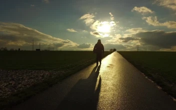 Video Stock Person Walking On A Path Through Agriculture Fields Free