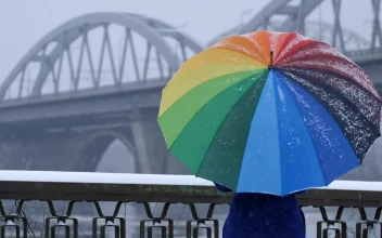 Video Stock Person With A Colorful Umbrella On A Snowy Day Free
