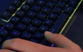 Video Stock Person Working In Front Of A Computer Free
