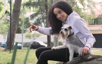 Video Stock Pet Owner Spending Time With His Little Dog In A Free