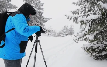 Video Stock Photographer In A Winter Forest With His Camera Free