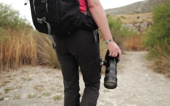 Video Stock Photographer In Nature Free