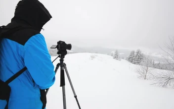 Video Stock Photographer Taking Photos While Snowing In The Forest Free