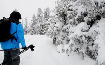 Video Stock Photographer Walking In The Alps During Winter Free