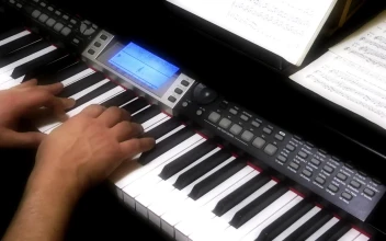 Video Stock Pianist Hands Playing The Piano Free