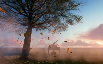 Video Stock Piano Under A Tree With Dry Leaves Falling Free
