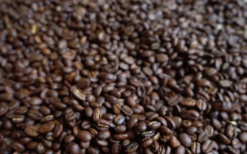 Video Stock Picking Up Coffee Beans From A Table Free