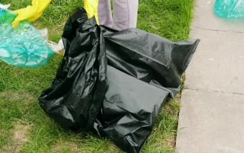 Video Stock Picking Up Plastic Garbage Free