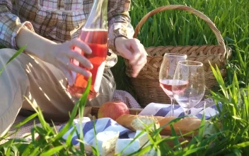 Video Stock Picnic Day With Wine And Cheese Free