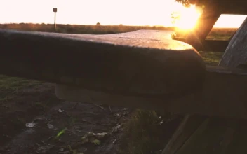 Video Stock Picnic Table In The Forest At Sunset Free
