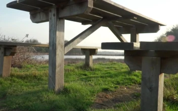 Video Stock Picnic Table Near A Lake Free