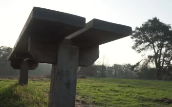 Video Stock Picnic Table In The Forest Free