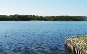 Video Stock Pier Covered In Rocks And Moss Free