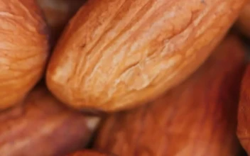 Video Stock Piled Almonds Rotating Detailed Views Free